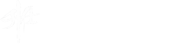 light logo